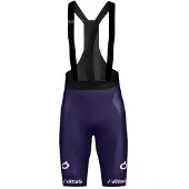 Wilier Vittoria Shorts Violet 2XL Homme