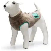 Beeztees Manteau pour chien Teddy (40, Peignoir pour chien)