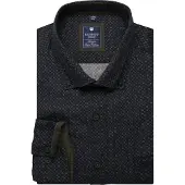 REDMOND Comfort Fit Chemise vert,