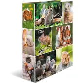 Herma Dossier A4 Motif (A4, 70 mm, 1 pcs)