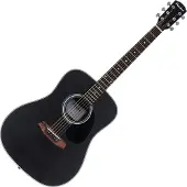 Pasadena PD-100 Black Guitare acoustique