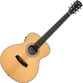 Pasadena PT-200E Natural Guitare acoustique-électrique