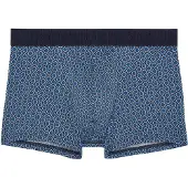 Hom Boxer HO1