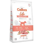 Calibra Dog Life Starter Puppy Lamb 12 kg avec de l'agneau pour chiots, chiennes en gestation et allaitantes