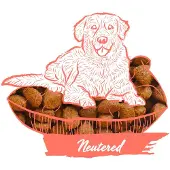 Calibra Nourriture Pour Chien Expert Nutrition Neutered 2kg