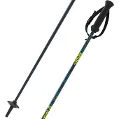 Fischer Rc4 Noize Poles Argenté 130 cm