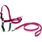 Petsafe Harnais Pour Chien Easy Walk