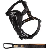 Kurgo Harnais Tru-Fit Smart Harness (L, Chien, Promenade)