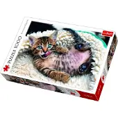 Trefl Puzzle 1000 pices Chaton joyeux