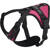 JULIUS K-9 Longwalk Light Dog Harness Rose S