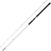 Abu Garcia Canne Baitcasting Beast X2