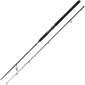 Penn Wrath Ii Spinning Rod Argenté 3.00 m / 60-120 g