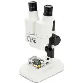 Celestron Labs S20 Stereo Microscope Clair One Size / EU Plug 220V