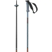 Salomon Polar Pro, bâtons de ski, bleu