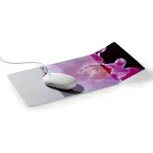 Durable Plus (M), Tapis de souris, Transparent