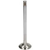 TRW Soupape d'échappement 22155