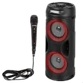 Bontempi Enceinte Sans Fil Avec Microphones 39224