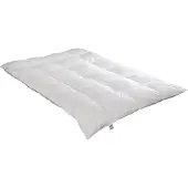 Badenia irisette Daunensteppbett Nora medium (530 g, Duvet, 200 x 135 cm)