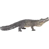 Animal planet Alligator