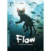 Import Flow DVD