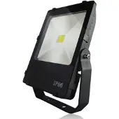 Franssen Spot LED Floodlight