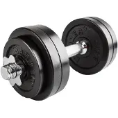 FINNLO 15kg Dumbbell Set Argenté 15 kg