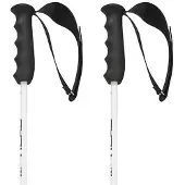 Head Bâtons Worldcup Rebels Carbon