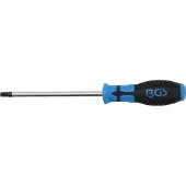 Bgs Tournevis profil T (pour Torx) avec perçage T40 longueur de la lame 150 mm (TX)