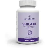 Naturecan Shilajit capsules