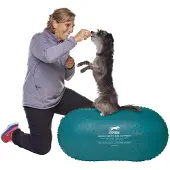 FitPAWS Plate-forme d'équilibre pour animaux de compagnie 60 cm Bleu