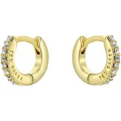 Ted Baker Boucles d'oreilles 'HETTIE' or