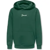 Only & Sons Seulement & Fils Hans Life Hoodie Junior