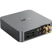 WIIM Amp Gris