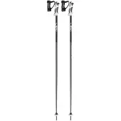 LEKI Bold S Poles Argenté 110 cm Homme