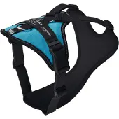 JULIUS K-9 Harnais Pour Chien Longwalk Light