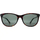 Polaroid Lunettes de soleil PLD 4161/S 086/UC