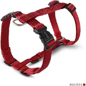 Wolters Professional Geschirr Gr.XL 75-100 cm x 2,5 cm rot