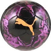 Puma Cup