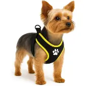 Flamingo Harnais Pour Chien Step&go Tasha