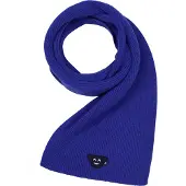Emporio Armani Écharpe 'Emporio Schal' bleu roi