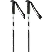 Elan Hotrod Poles Argenté 135 cm