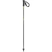 Elan Carbon Rod Poles Noir 120 cm