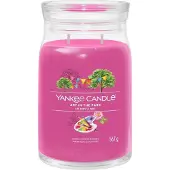Yankee candle Art In The Park bougie parfumée Signature 567 g