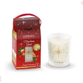 Esteban Bougie Mandarine givrée 180 g