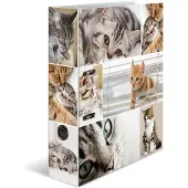 Herma Dossier A4 Motif (A4, 70 mm, 1 pcs)