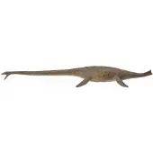 Collecta Thalassomedon 1:40 Figure Deluxe