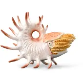 Collecta Figure de Cooperoceras