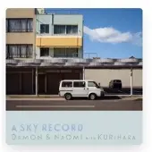 Konkurrent Damon & Naomi - A Sky Record [Vinyl]