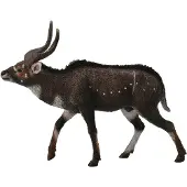 Collecta Yala de montagne - (L)