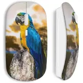 MANIACASE Souris sans fil - Perroquet - Blanc - Compatible Mac et PC - Clé USB wifi incluse